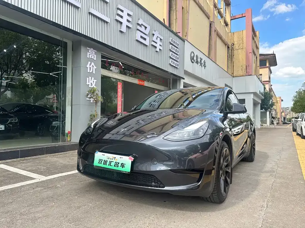 Tesla Model Y — фото 1