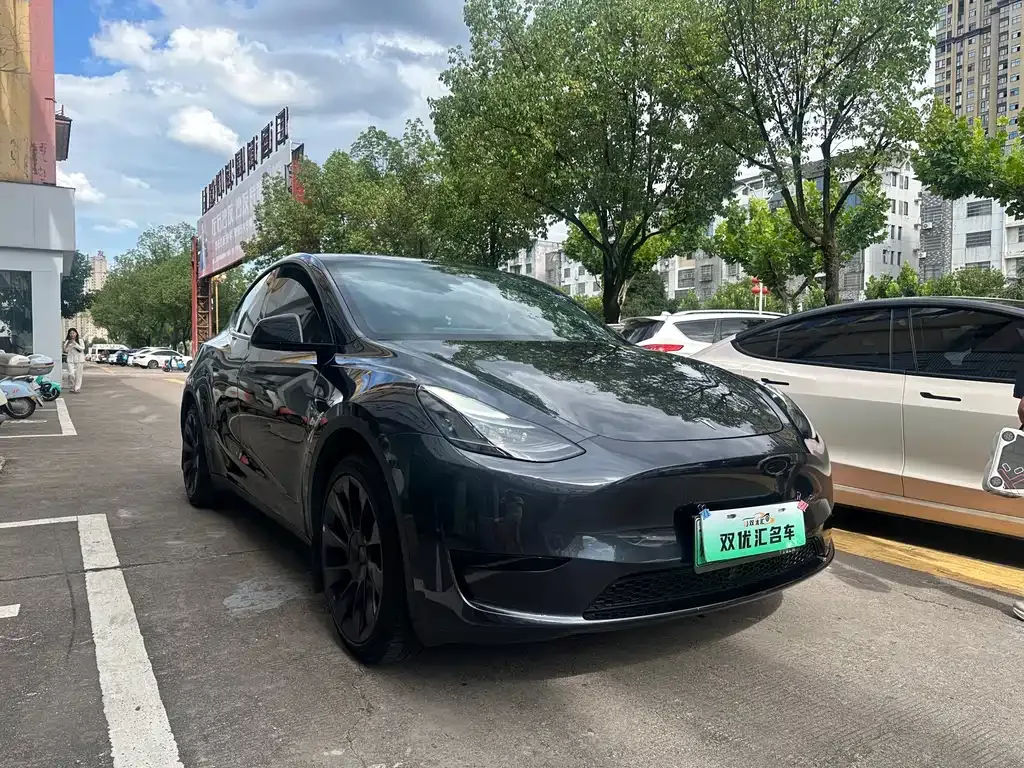 Tesla Model Y — фото 6