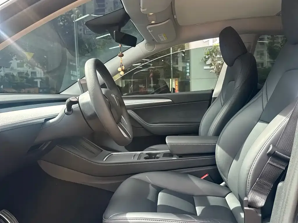 Tesla Model Y — фото 4