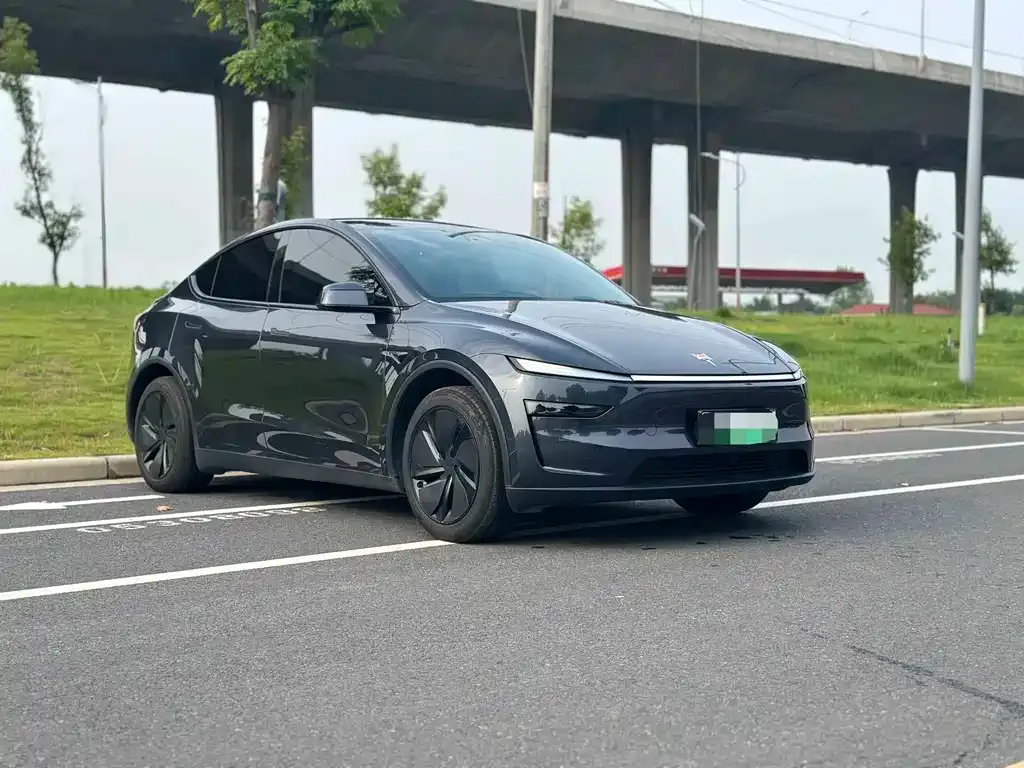 Tesla Model Y — фото 8