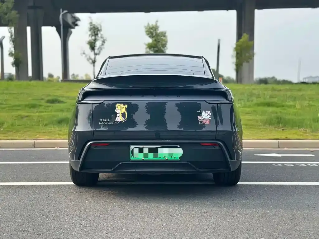 Tesla Model Y — фото 3