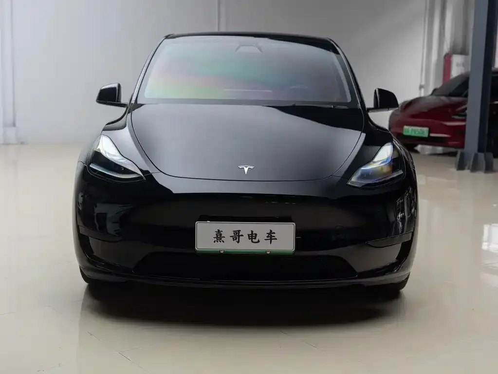 Tesla Model Y — фото 9