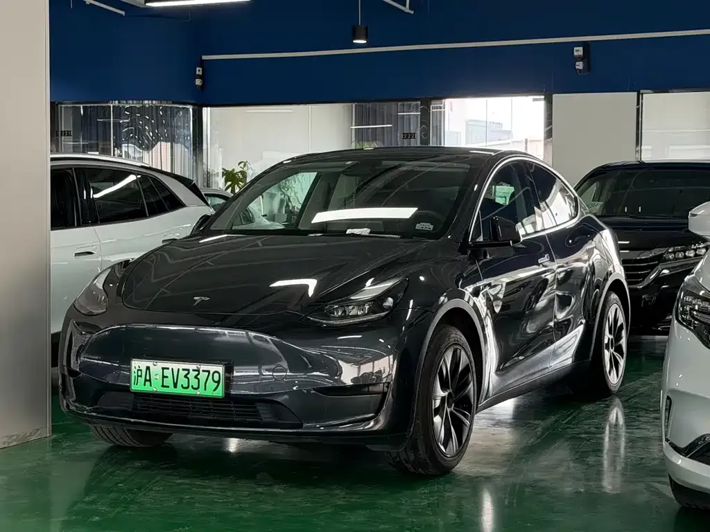 Tesla Model Y — фото 1