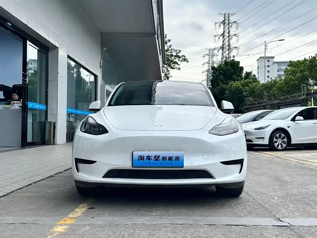Tesla Model Y — фото 1