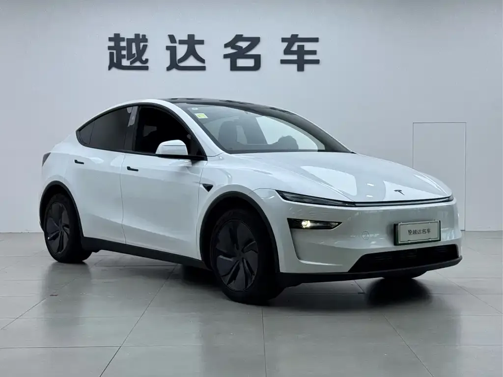 Tesla Model Y — фото 2