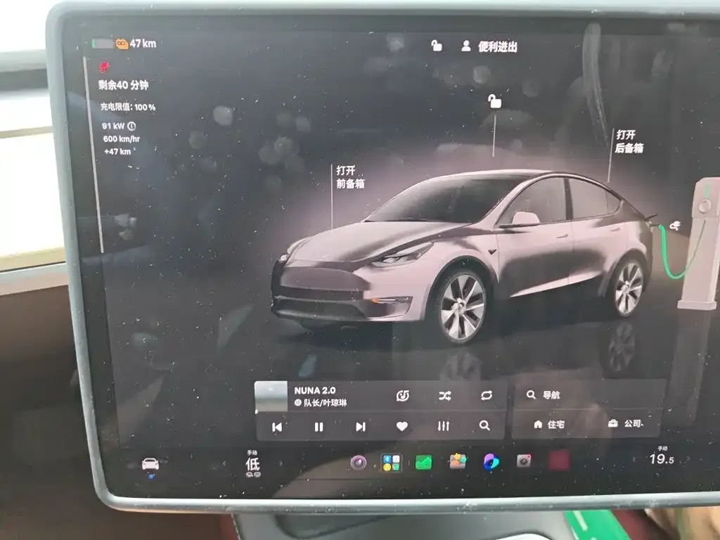 Tesla Model Y — фото 8