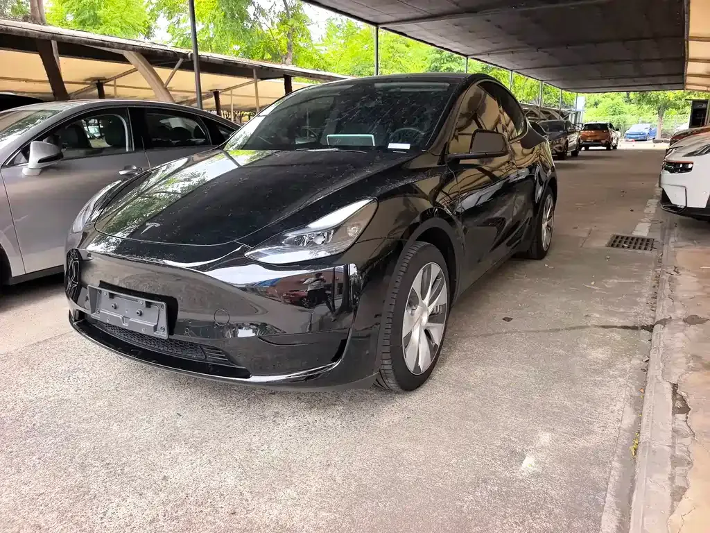 Tesla Model Y — фото 1