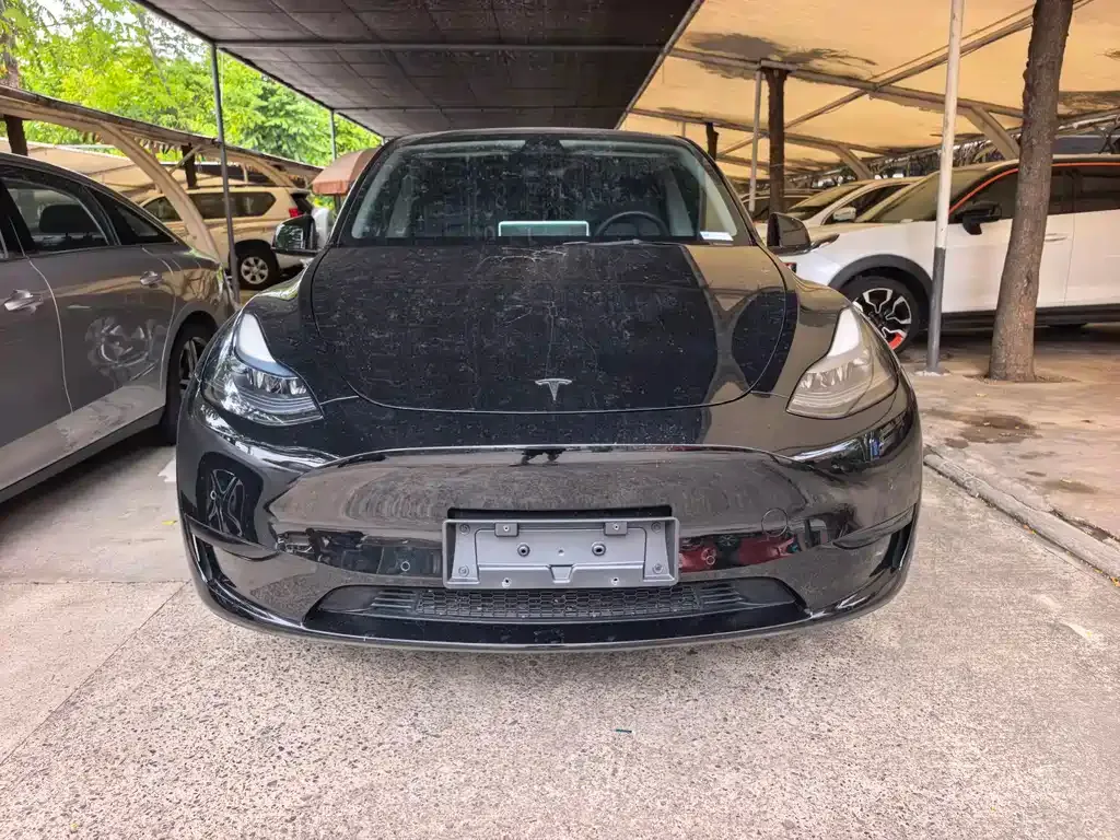 Tesla Model Y — фото 10