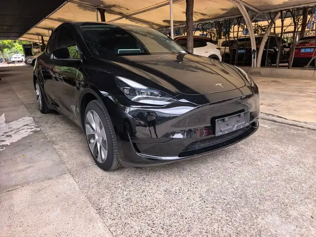 Tesla Model Y — фото 3