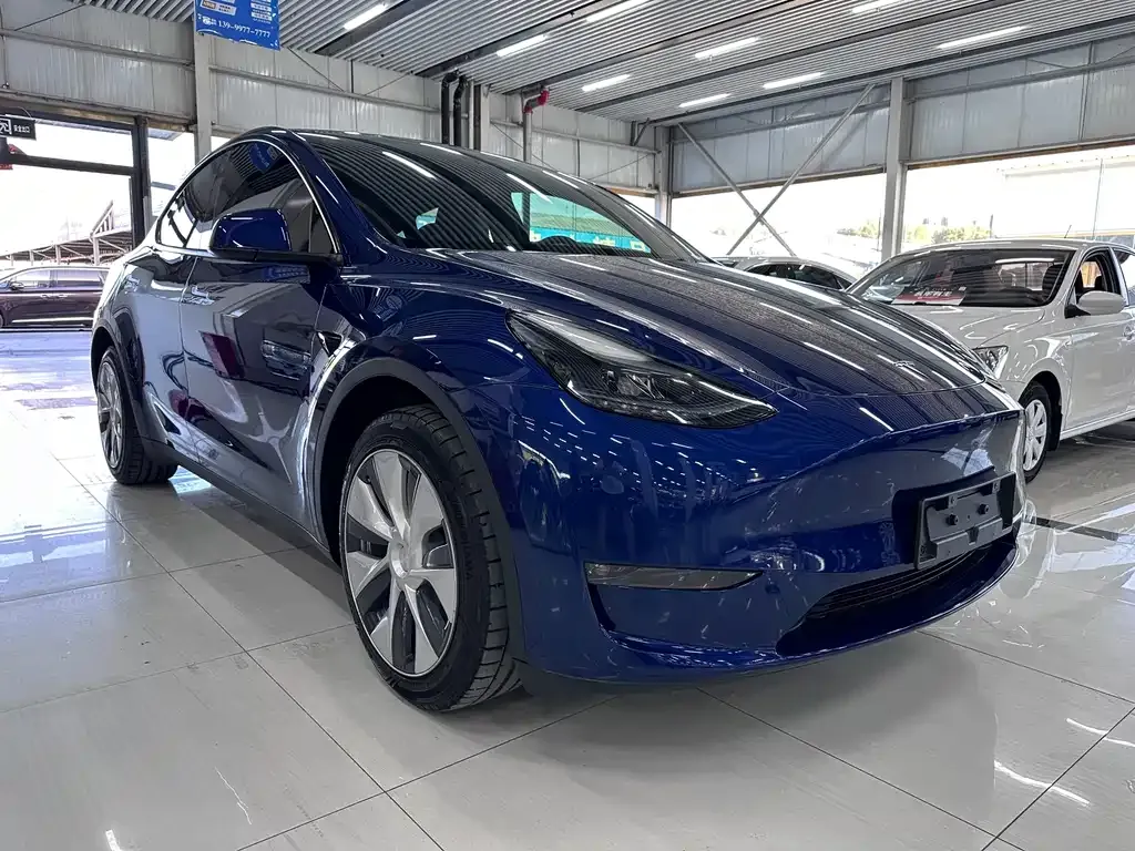 Tesla Model Y — фото 9