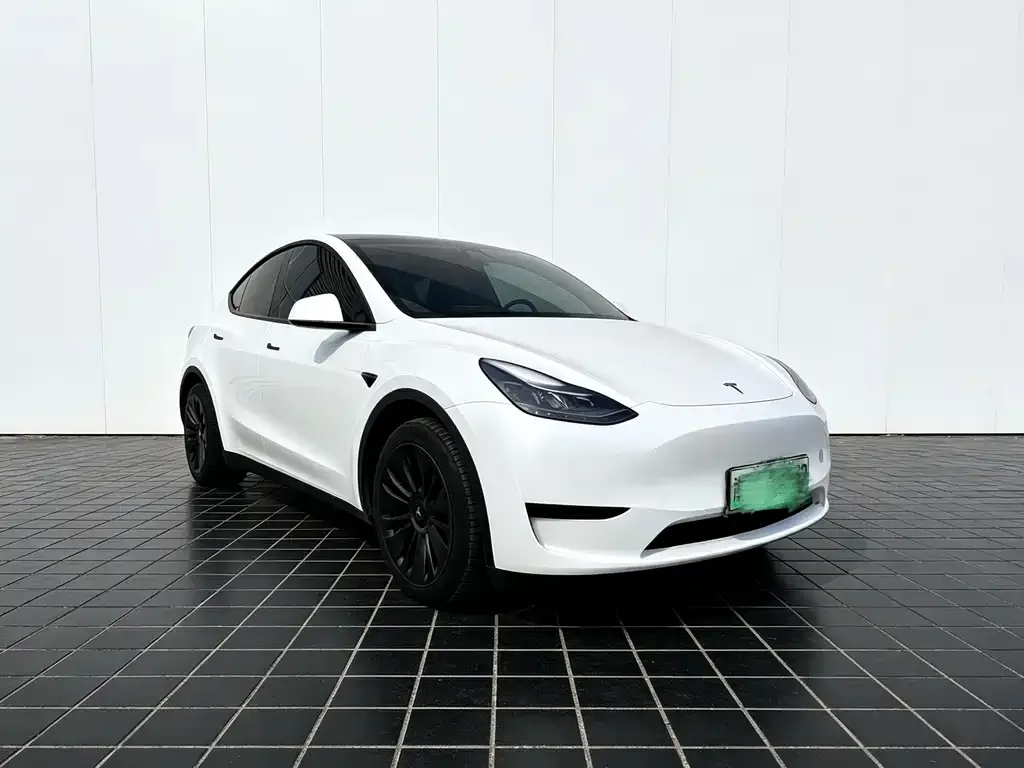 Tesla Model Y — фото 8