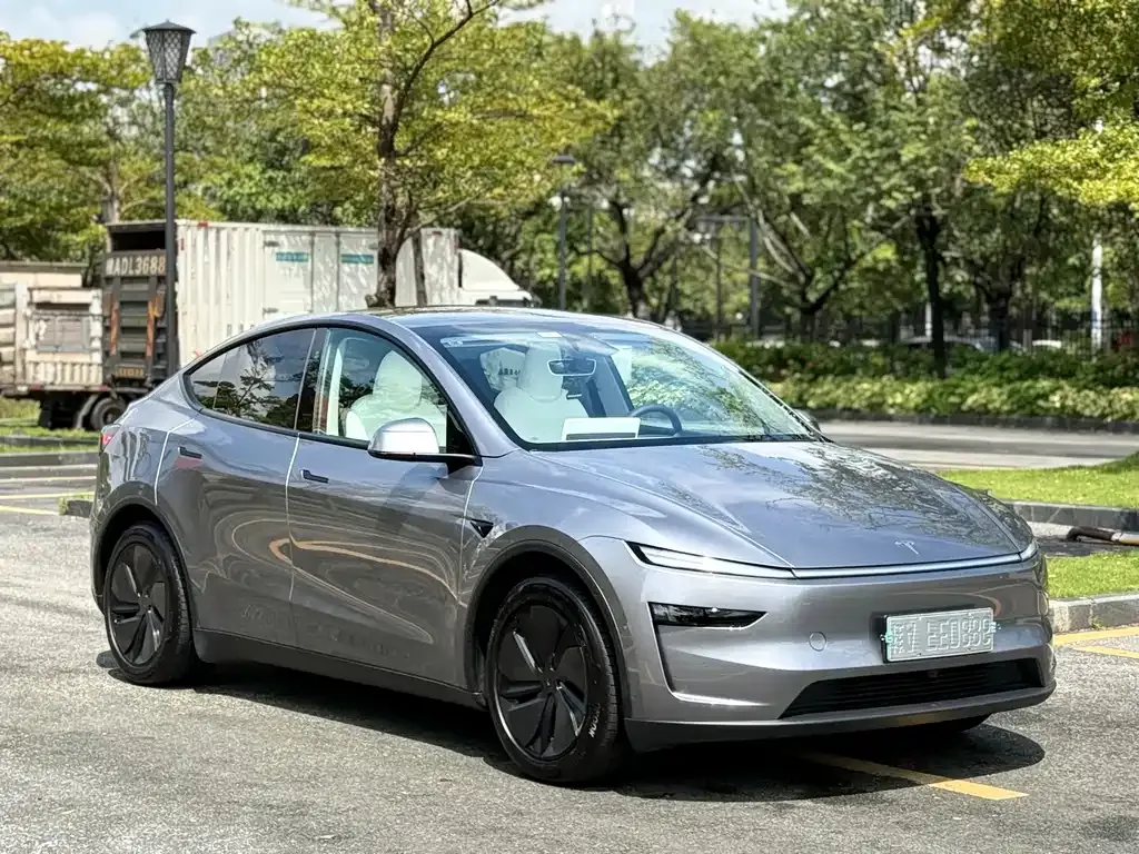 Tesla Model Y — фото 9