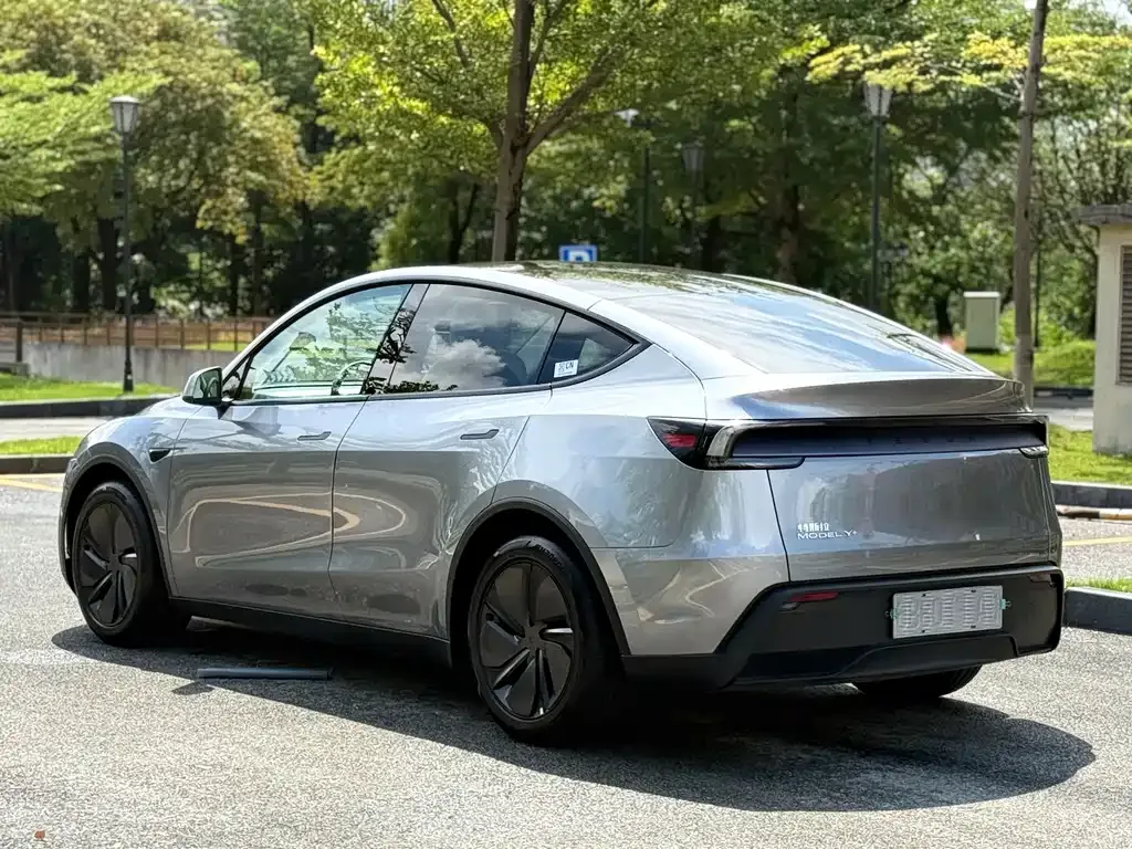 Tesla Model Y — фото 8