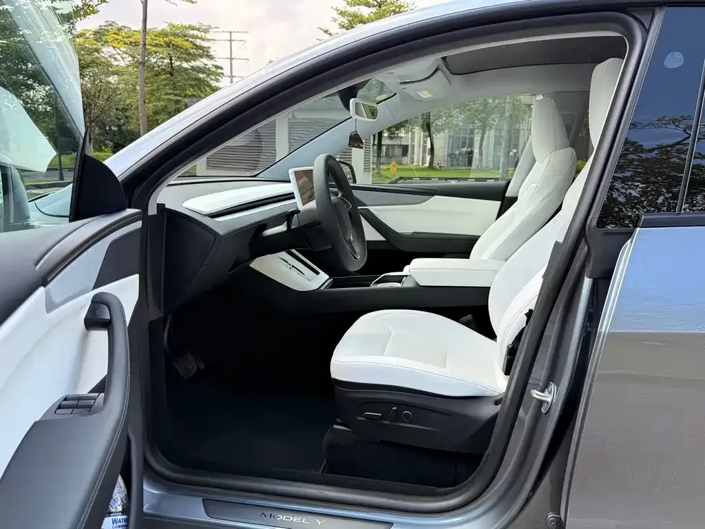 Tesla Model Y — фото 6