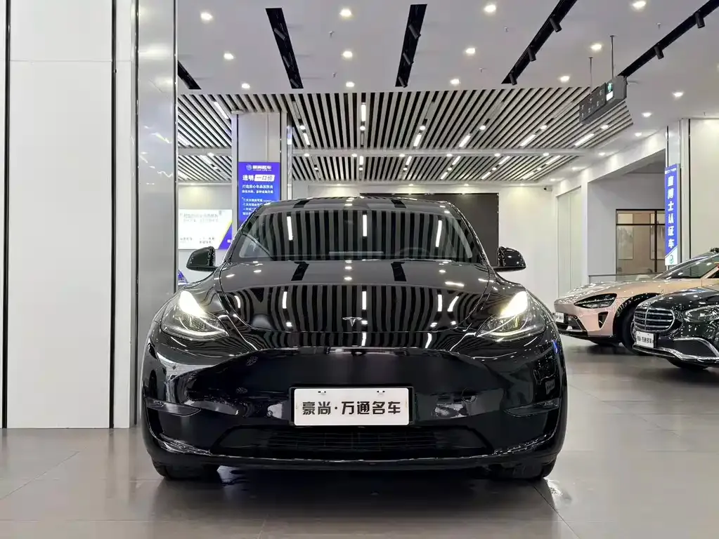 Tesla Model Y — фото 5