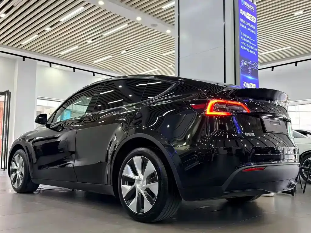 Tesla Model Y — фото 9