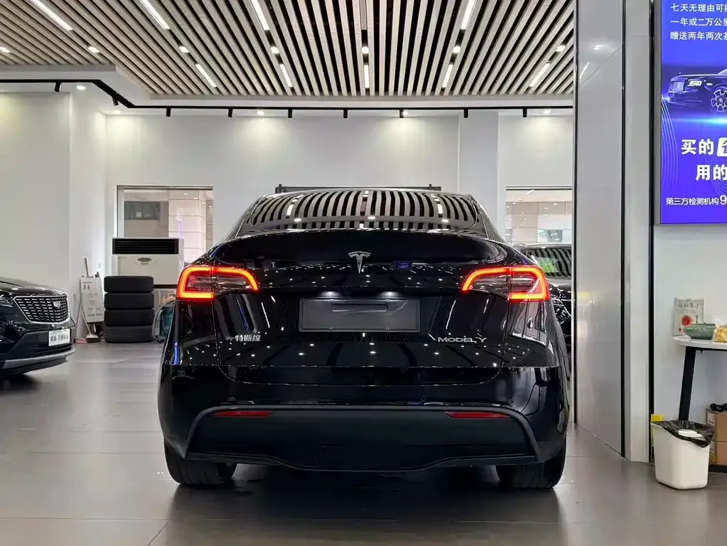 Tesla Model Y — фото 6