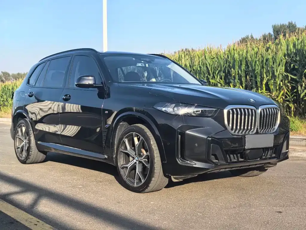 BMW X5 — фото 8