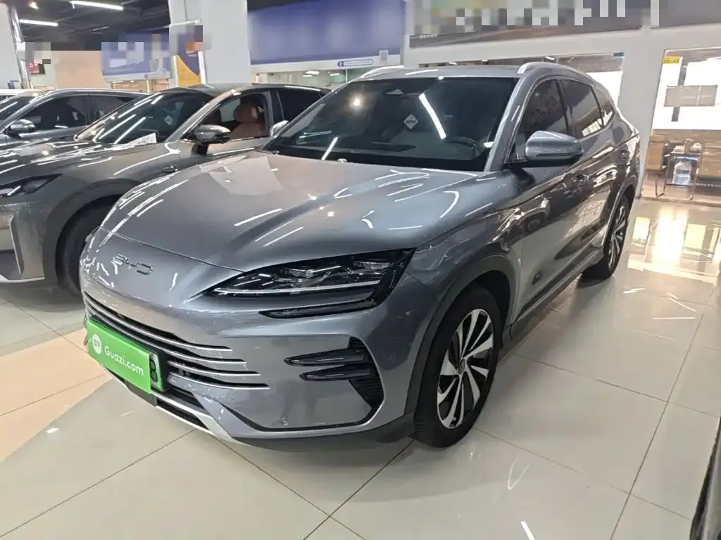 BYD PLUS New Energy — фото 1