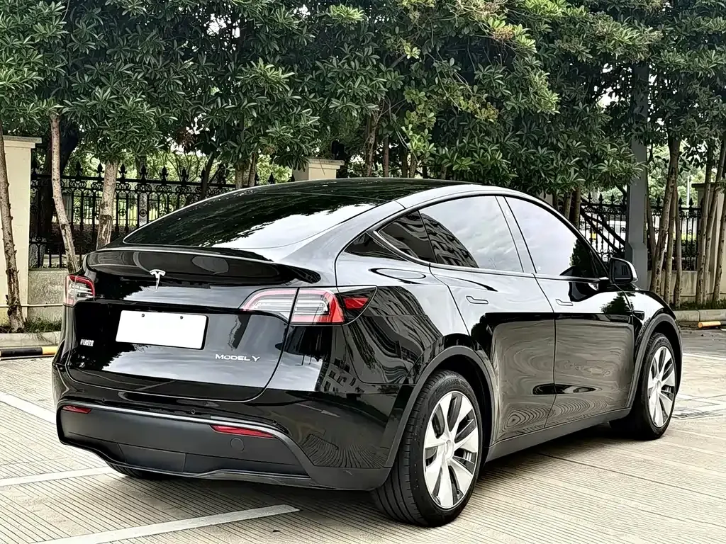 Tesla Model Y — фото 10