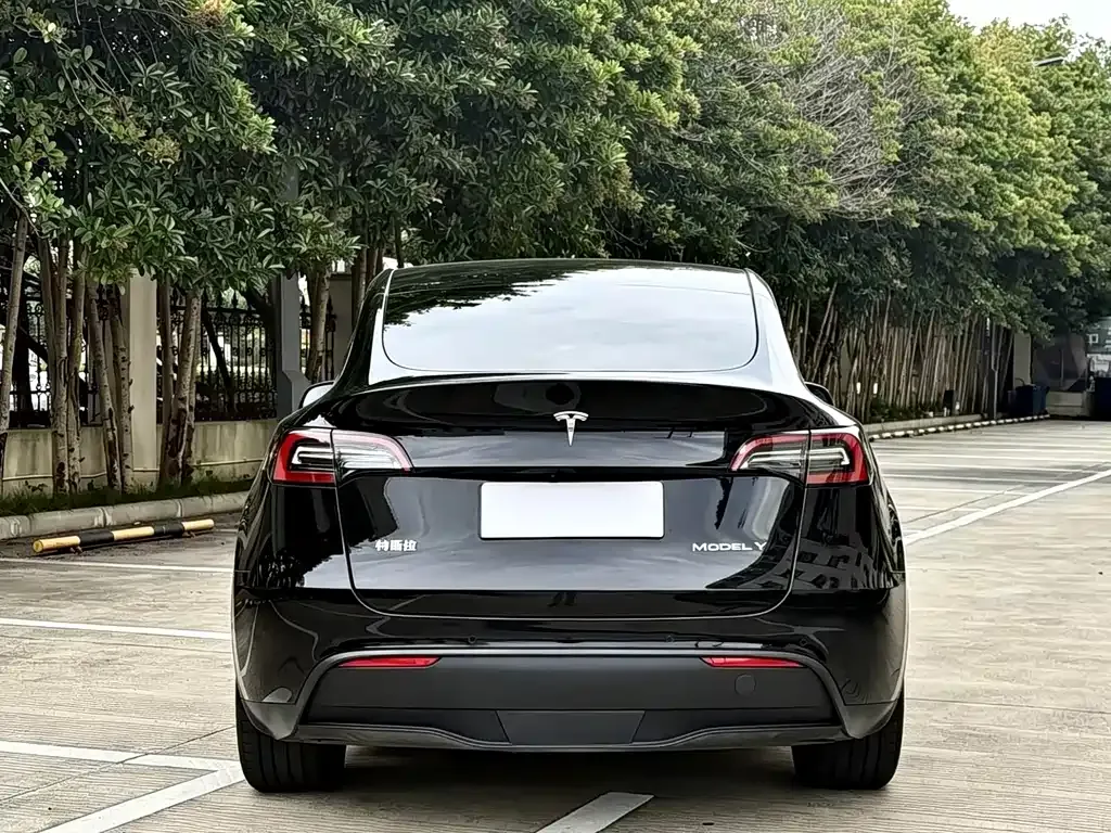 Tesla Model Y — фото 6