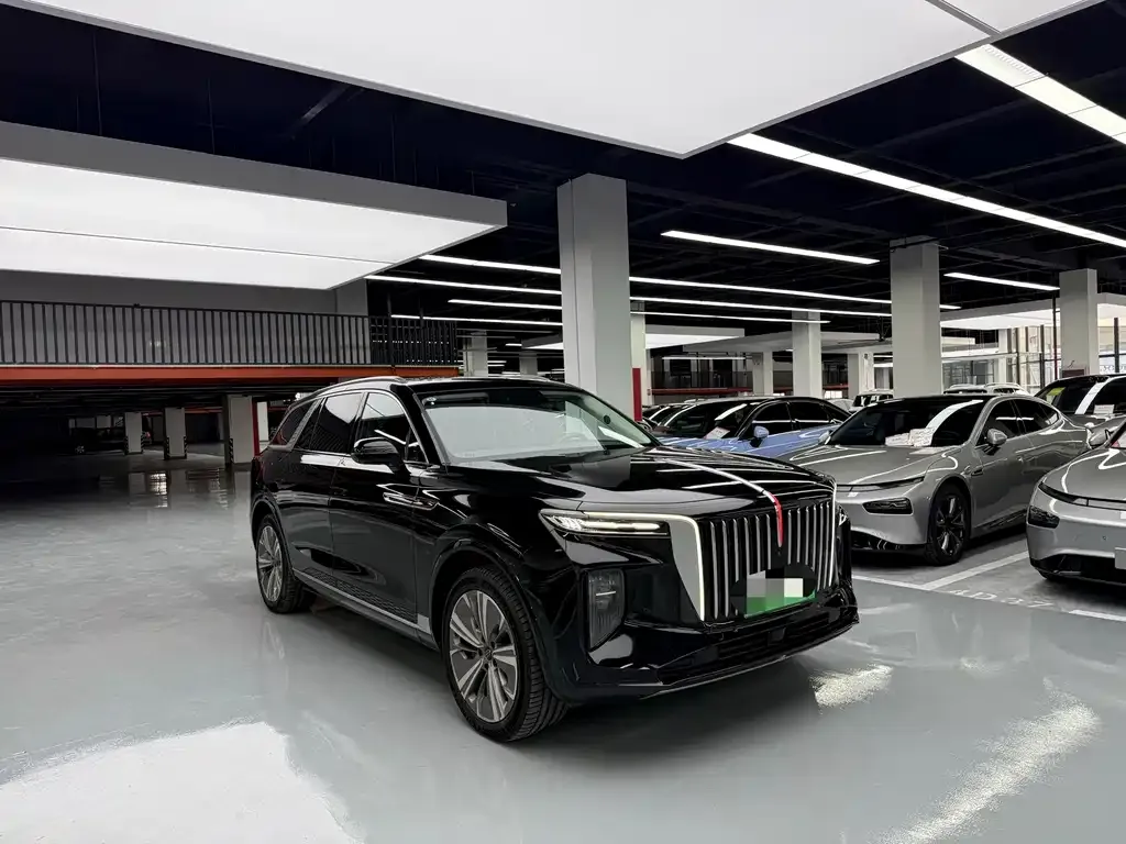 Hongqi E-HS9 — фото 10