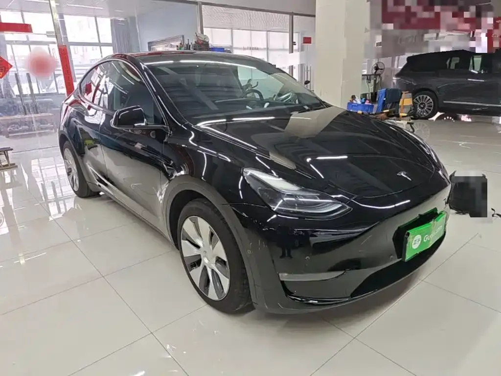 Tesla Model Y — фото 10