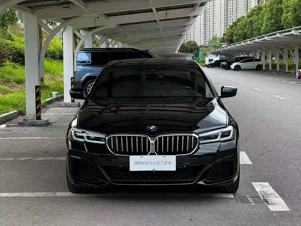 BMW 5 Series (Import) — фото 9