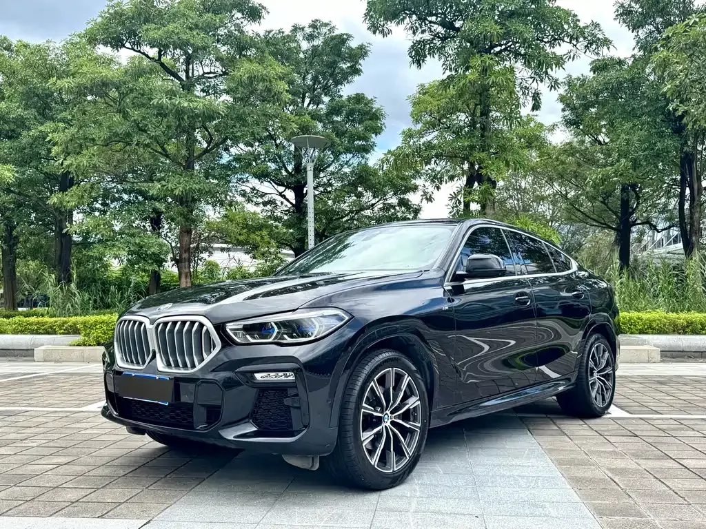 BMW X6 — фото 1
