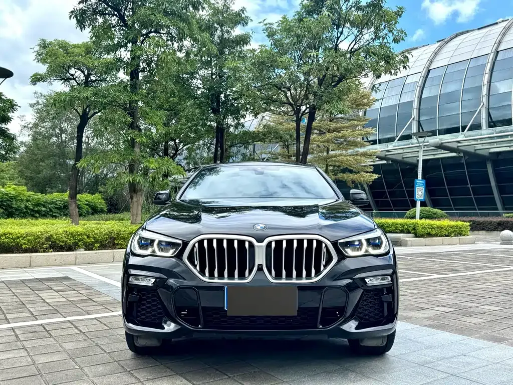 BMW X6 — фото 3