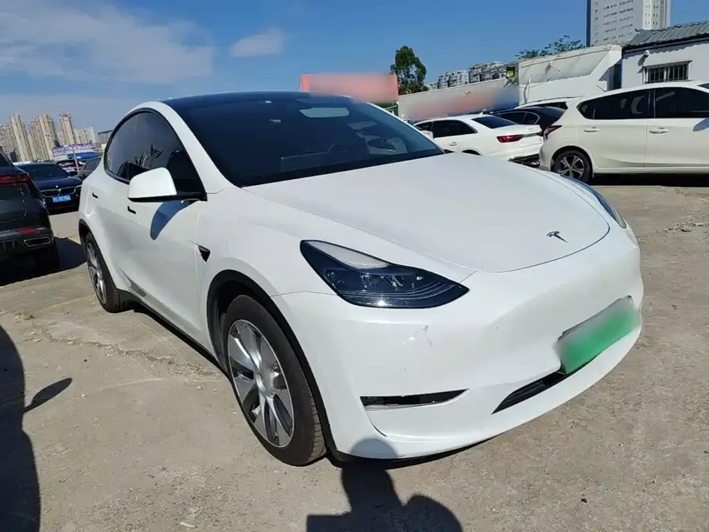 Tesla Model Y — фото 2