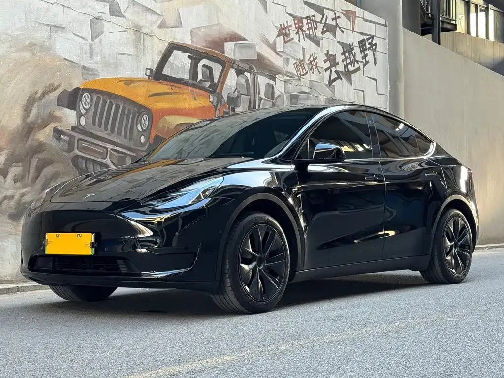 Tesla Model Y — фото 1