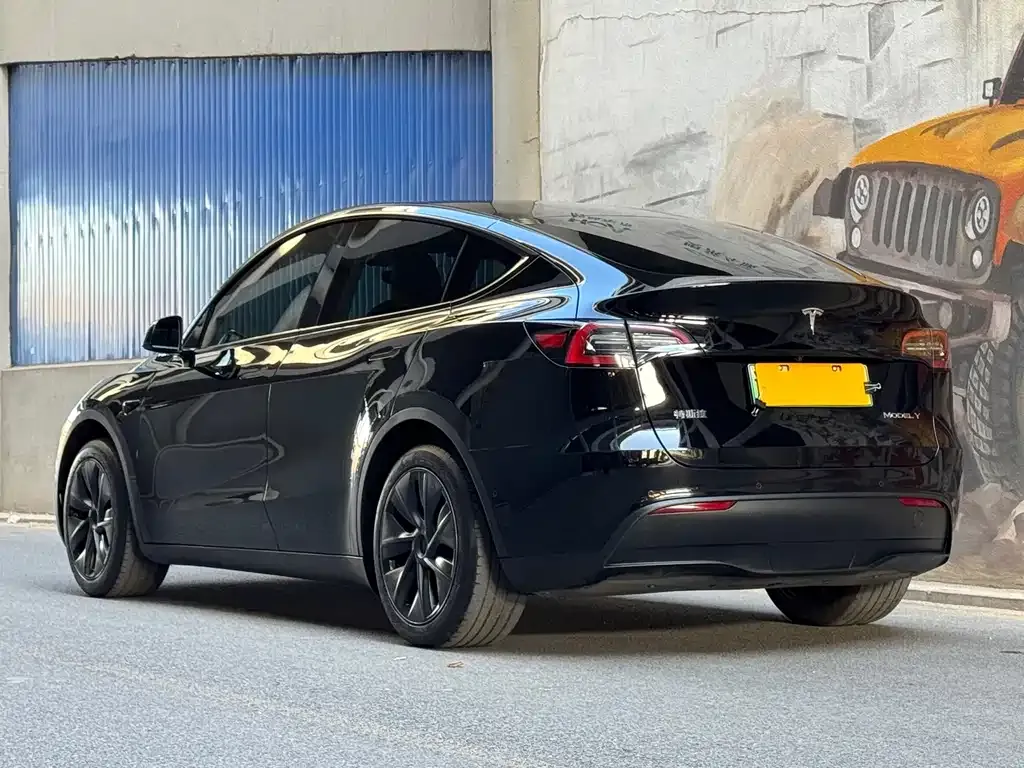 Tesla Model Y — фото 10