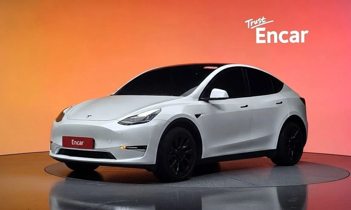 Tesla Model Y — фото 1