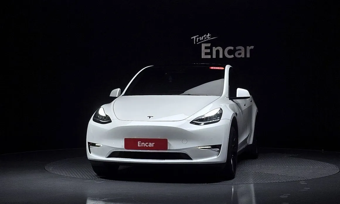 Tesla Model Y — фото 6