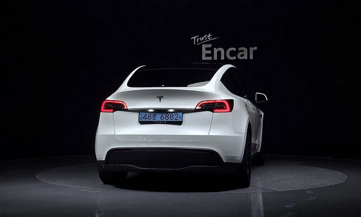 Tesla Model Y — фото 3