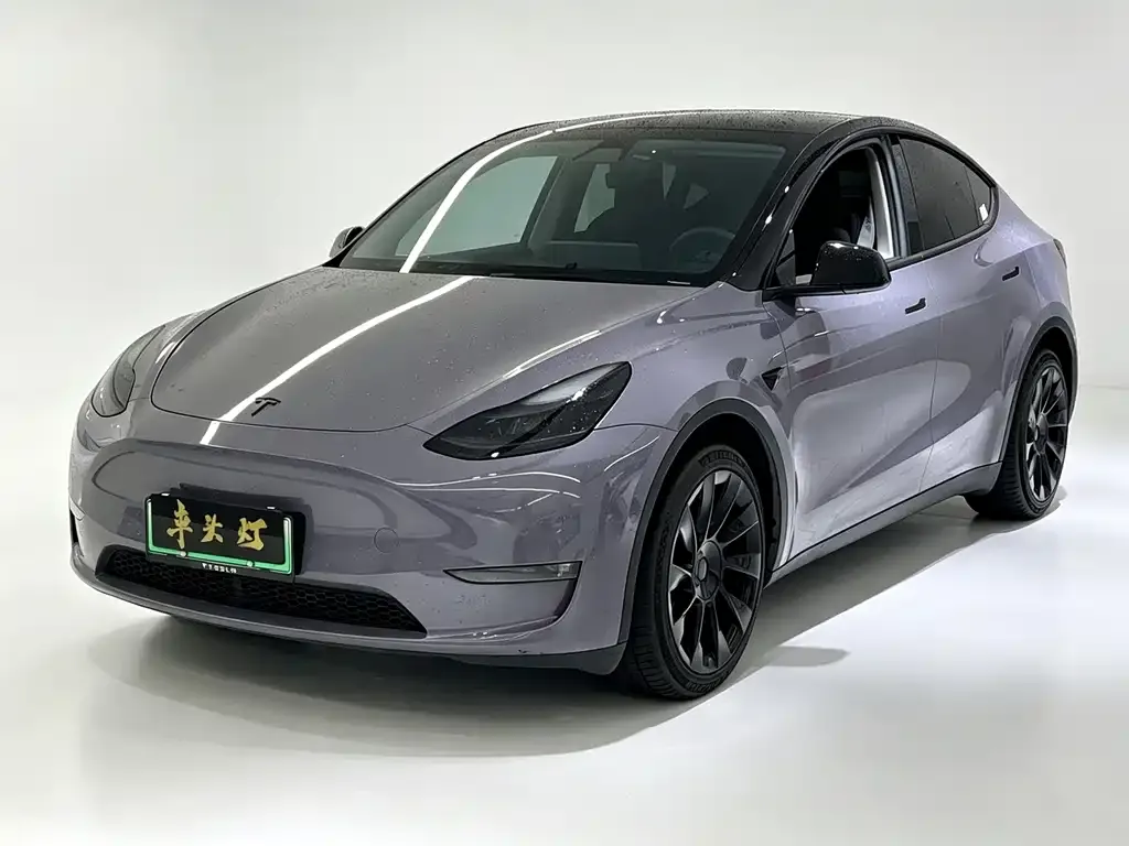 Tesla Model Y — фото 1