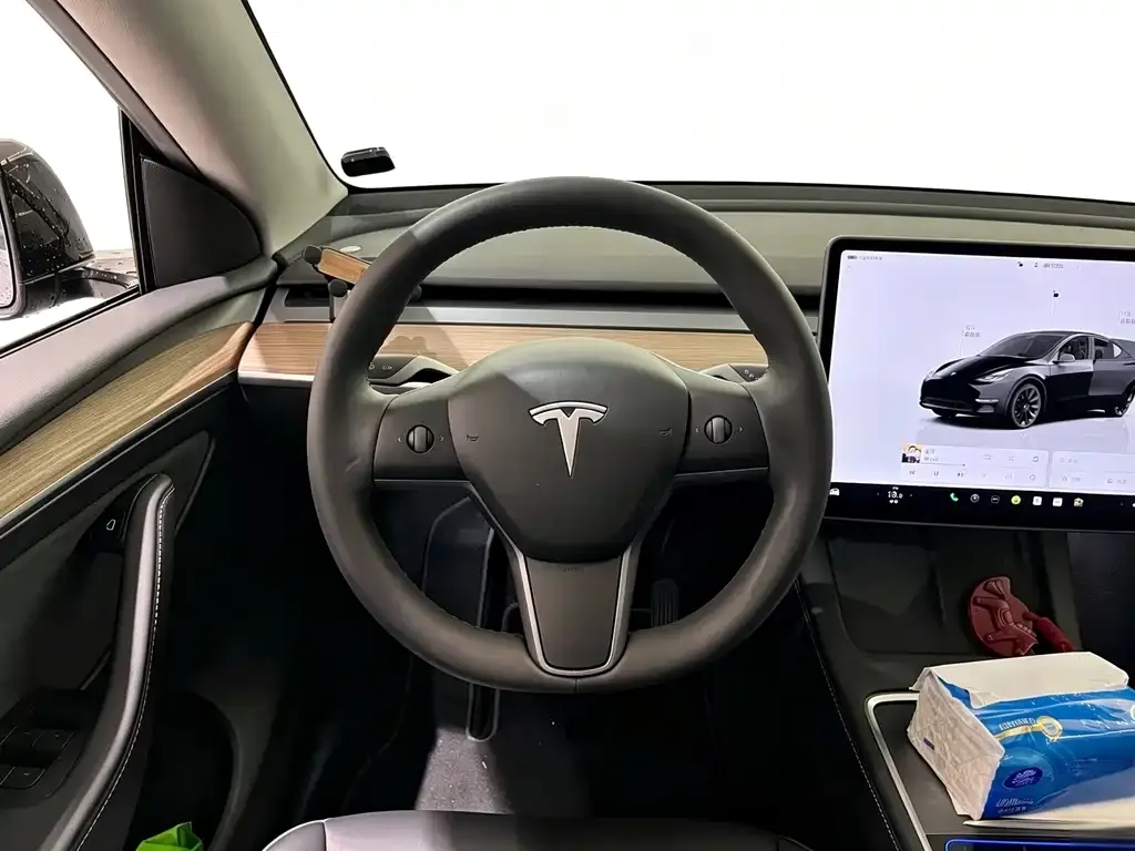 Tesla Model Y — фото 6