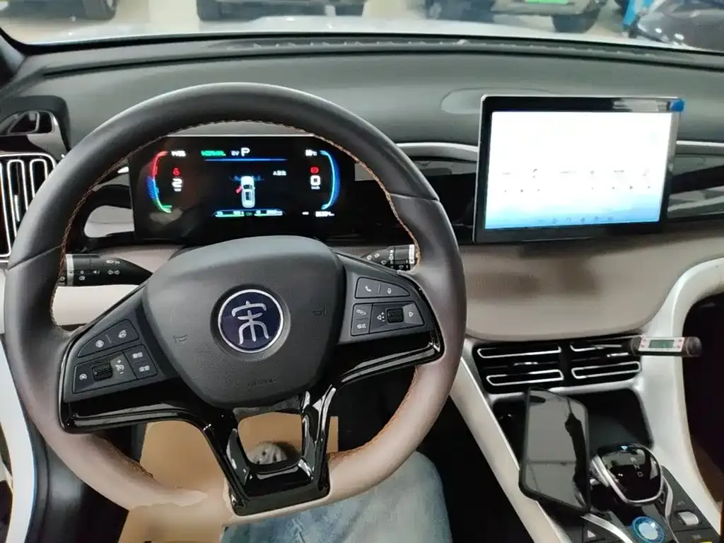 BYD Pro New Energy — фото 5