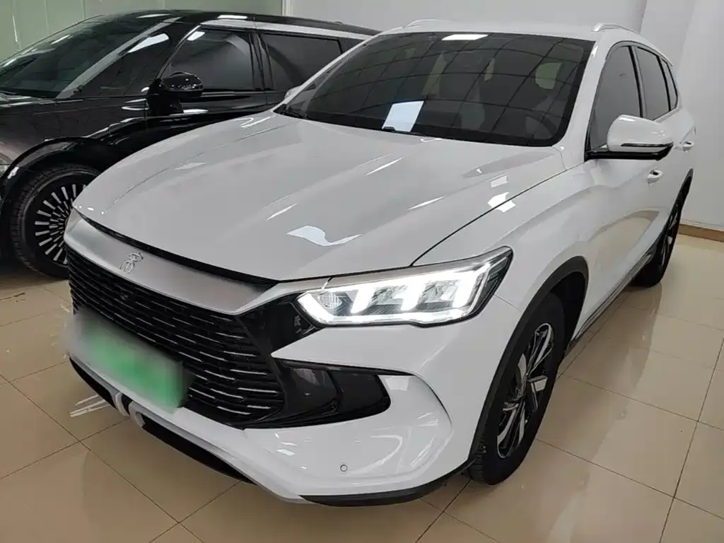 BYD Pro New Energy — фото 9