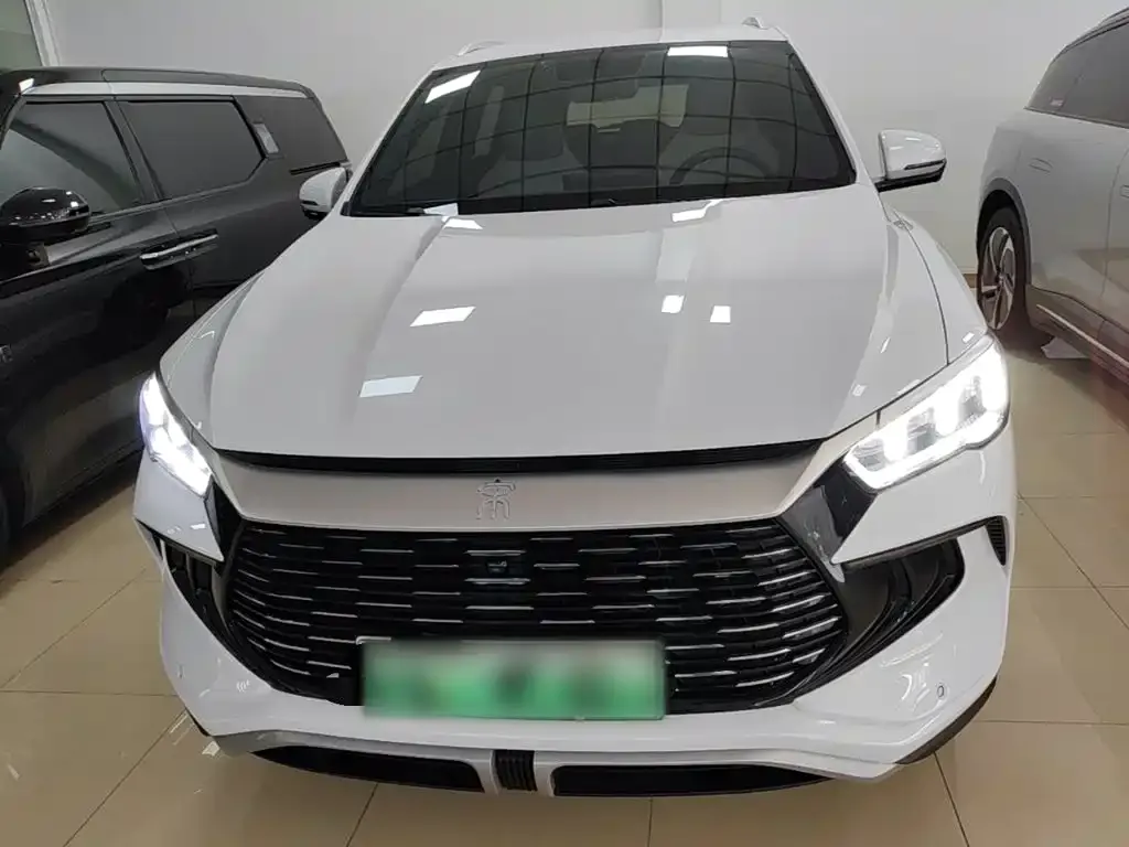 BYD Pro New Energy — фото 10