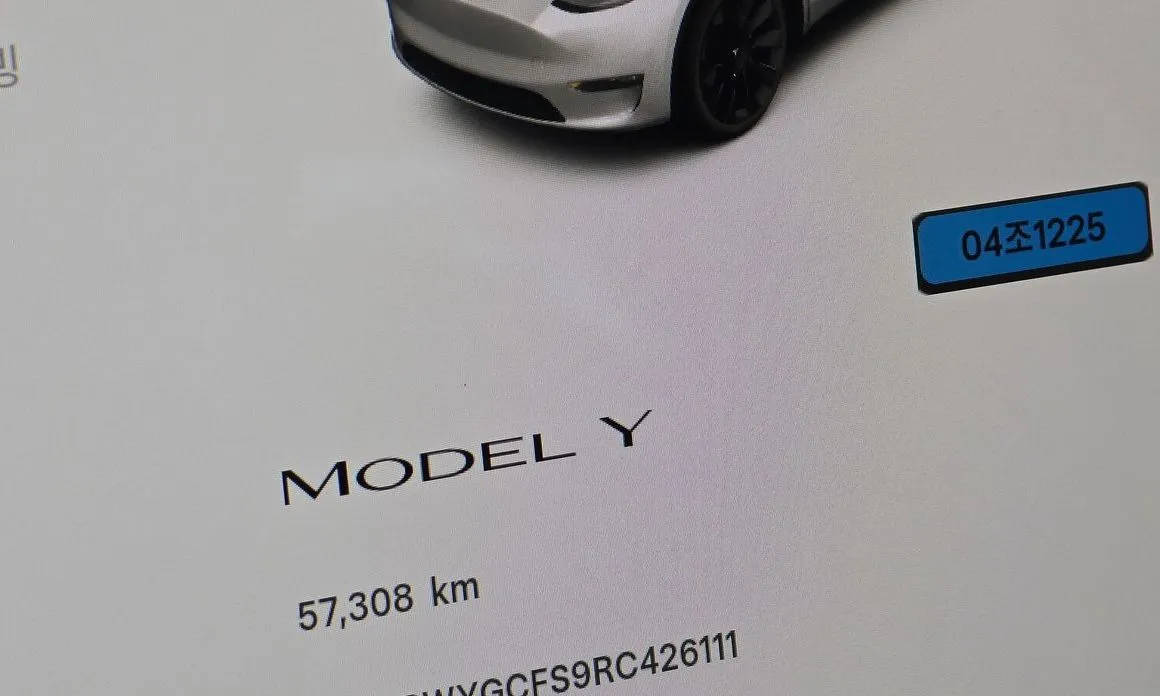 Tesla Model Y — фото 3