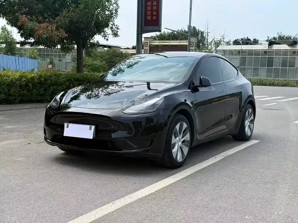 Tesla Model Y — фото 1