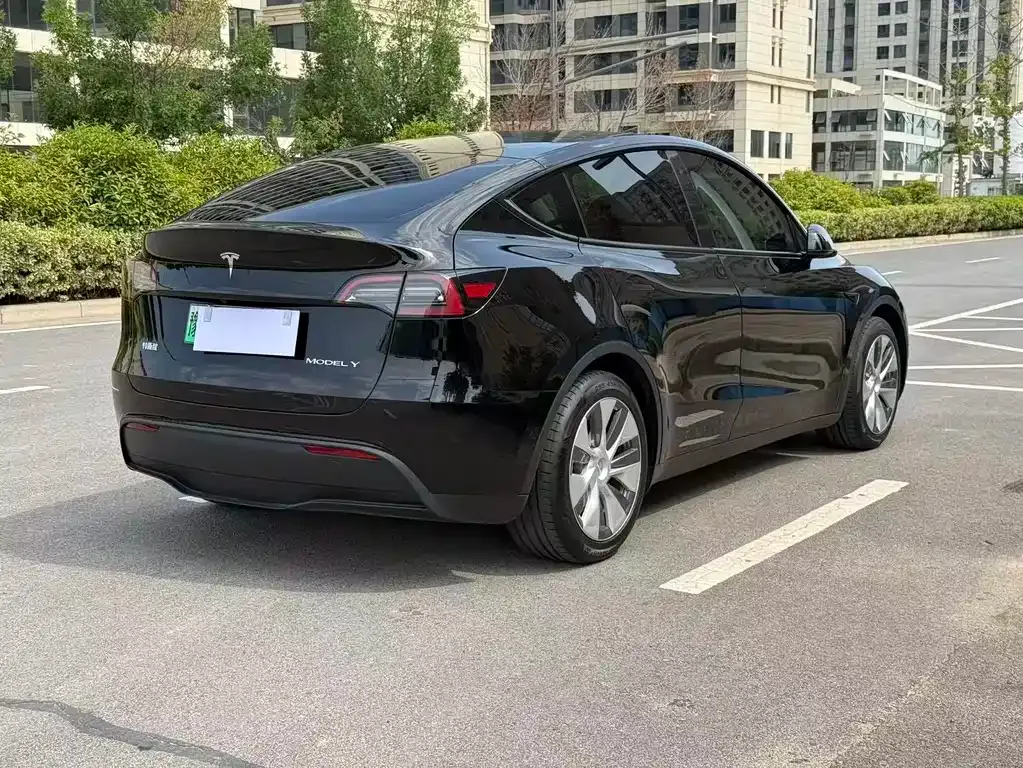 Tesla Model Y — фото 8