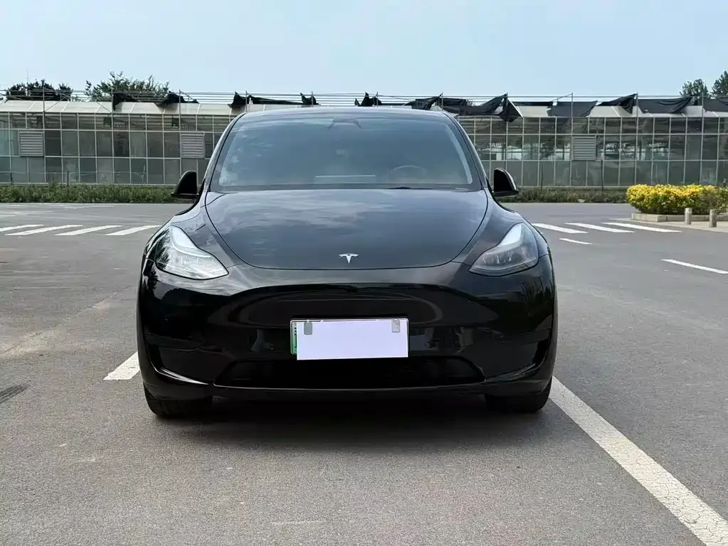 Tesla Model Y — фото 5