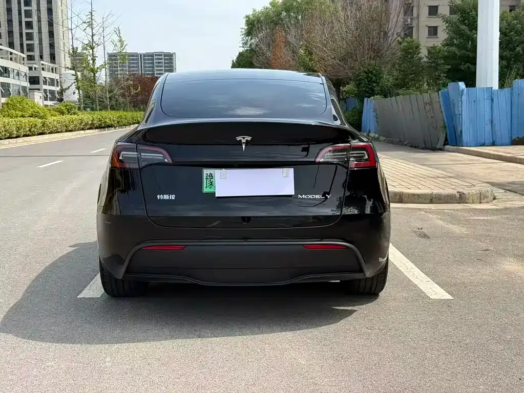 Tesla Model Y — фото 10