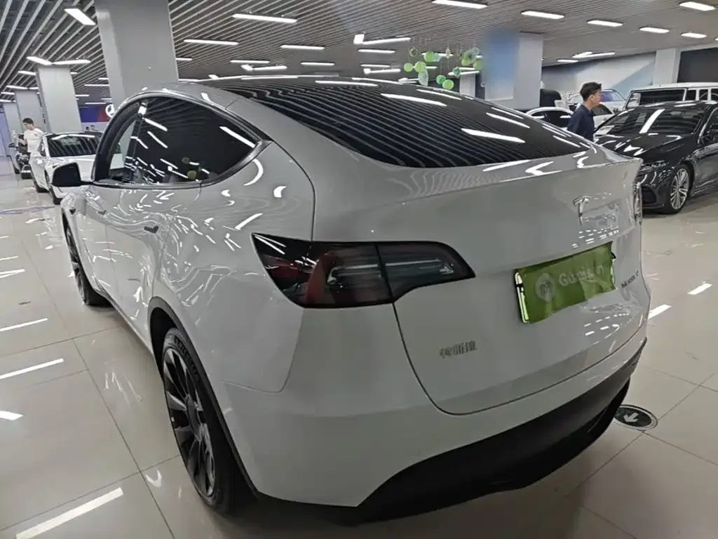 Tesla Model Y — фото 10