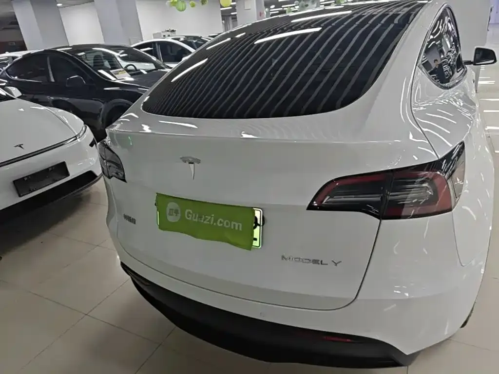 Tesla Model Y — фото 5