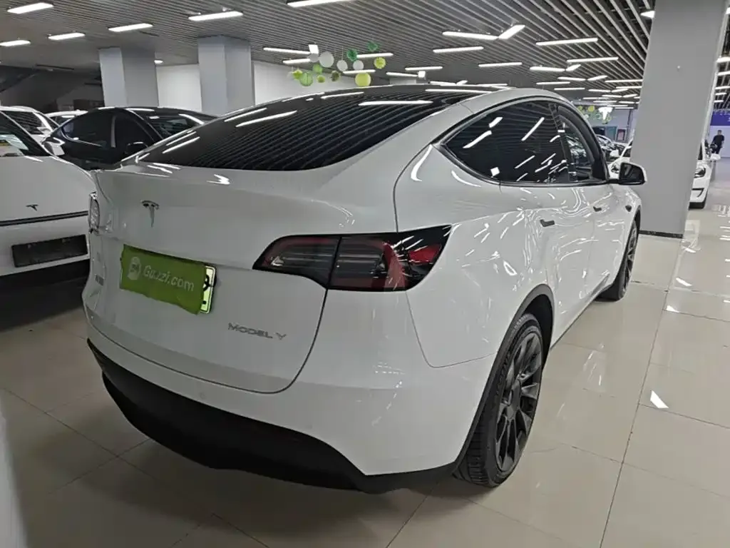 Tesla Model Y — фото 2