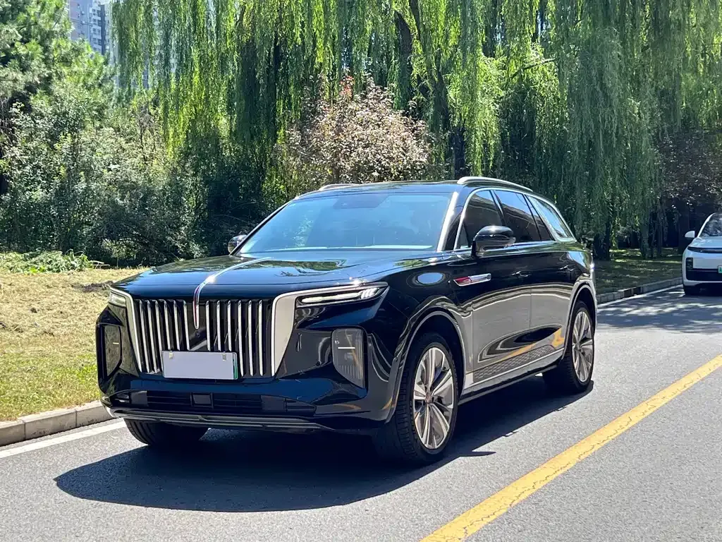 Hongqi E-HS9 — фото 1
